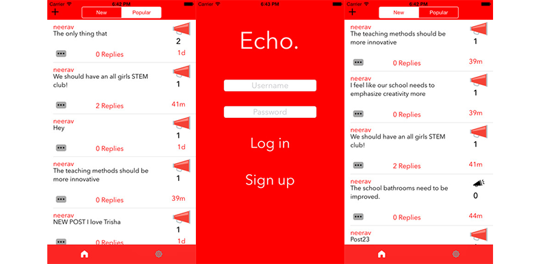 Echo